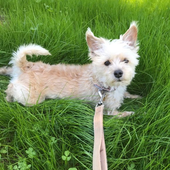 Meet your Posher, Chantal - Picture 1 of 1